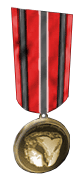 Medal of Aptitude Gold