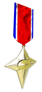Medal of Command Gold