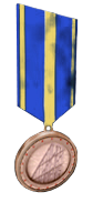 Medal of Construction Bronze