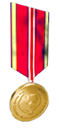 Medal of Service Gold
