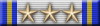 10 Years Veteran Medal