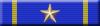 6 Years Veteran Medal