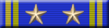 8 Years Veteran Medal