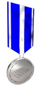 Medal of Tactical Achievement Silver