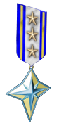 10 Years Veteran Medal