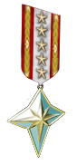 15 Years Veteran Medal