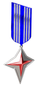 3 Years Veteran Medal